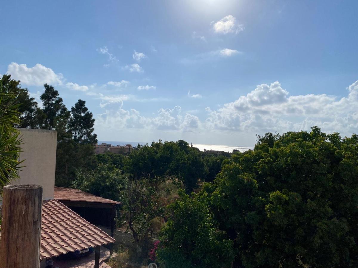 Moutallos Rooms Inn Homes Paphos Bagian luar foto